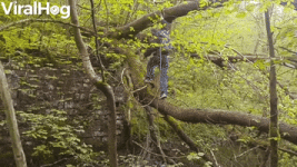 200.gif