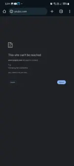Screenshot_20250410_132044_Chrome Dev.webp