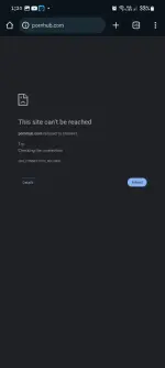 Screenshot_20250410_132022_Chrome Dev.webp
