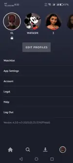 Screenshot_20250412_083319_com_disney_disneyplus_MainActivity.webp