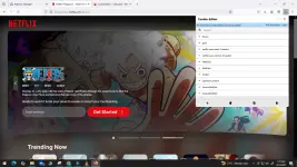 1744565152696.webp