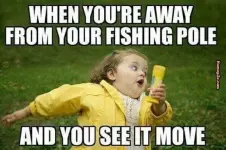 rod-moves.webp