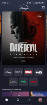 Screenshot_2025-04-16-17-00-20-719_com.disney.disneyplus.webp
