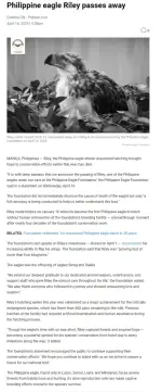 PH Eagle Dies.webp