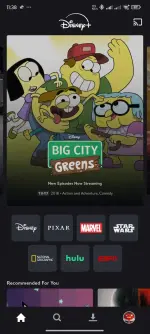 Screenshot_2025-04-17-23-38-36-711_com.disney.disneyplus.webp