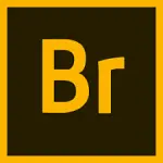 adobe-Bridge-2024.webp