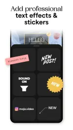 mojo-2.webp