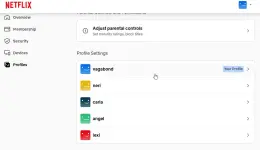 2025-04-19 23_08_53-Account Profiles - Netflix.webp