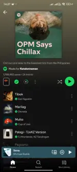 Screenshot_2025-04-21-14-37-30-949_com.spotify.music.webp