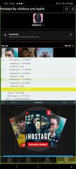 NetflixEdit.webp