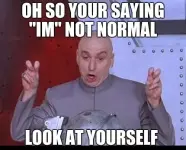 normal-meme.webp