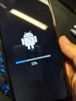 491265797_1237258284406480_7490604108907502791_n.webp