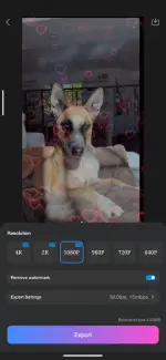 Vlog u (2).webp