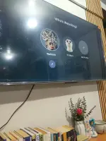 17453272799367088259574840640901.webp