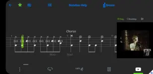 songster (3).webp