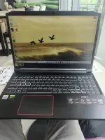 1000127098.webp