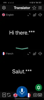 Instant Voice Translate (1).webp