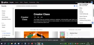 Capture.webp
