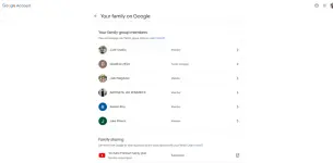 brave_screenshot_myaccount.google.com.webp