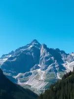 1000050003.webp
