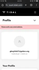 Screenshot_2025-04-28-16-02-35-94.webp