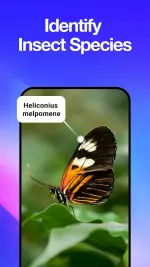 all-scanner-scan-identify-5.webp all-scanner-scan-identify-5.webp