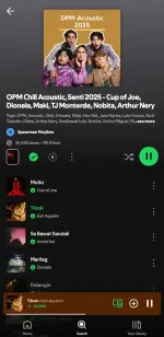 Screenshot_20250429_101539_Spotify.webp