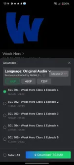 1000000720.webp 1000000720.webp