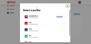 2025-04-29 13_37_03-Account Profiles - Netflix.webp