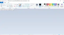 2025-04-29 21_43_05-2025_04_29_21_42_46_THE_ROBORATS_Credit_Card_Generator - Paint.webp