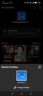 Screenshot_20250429_130711_com_netflix_mediaclient_hVh.webp