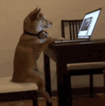 200.gif 200.gif