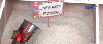 bigas_2025_04_25_19_52_12.GIF bigas_2025_04_25_19_52_12.GIF