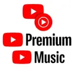 1746098430484.webp