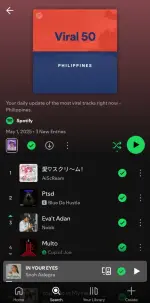 Screenshot_20250502_010603_Spotify.webp