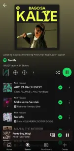 Screenshot_20250502_024318_Spotify.webp