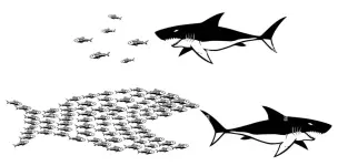 big-fish-small-fish.webp big-fish-small-fish.webp