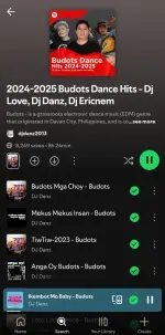 Screenshot_20250503_173218_Spotify.webp