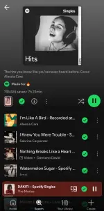 Screenshot_20250503_221550_Spotify.webp