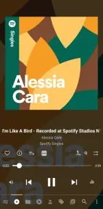 Screenshot_20250503_222019_Musicolet.webp