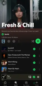Screenshot_20250503_223841_Spotify.webp