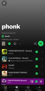 Screenshot_20250504_013200_Spotify.webp