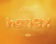 e4628391-ec57-4efa-84dc-b0c900db197d.webp