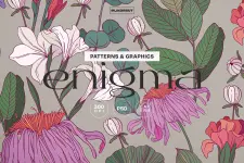 cover-1-2-o.webp