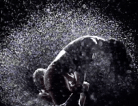 200.gif