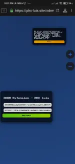Screenshot_2025-05-04-21-01-59-541_idm.internet.download.manager.plus.webp