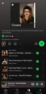 Screenshot_20250505_135057_Spotify.webp Screenshot_20250505_135057_Spotify.webp