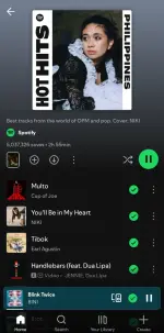 Screenshot_20250505_152646_Spotify.webp