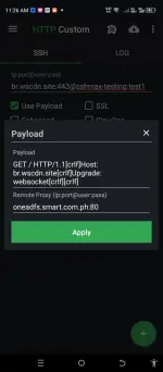 1000050958.webp 1000050958.webp