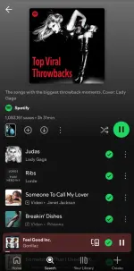 Screenshot_20250507_172648_Spotify.webp